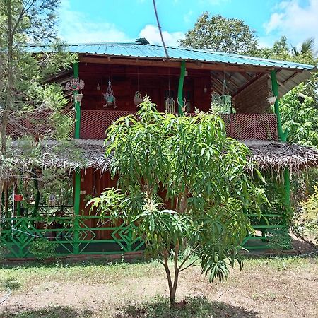Sigiri Lion Eco Palace Sigirija Zewnętrze zdjęcie