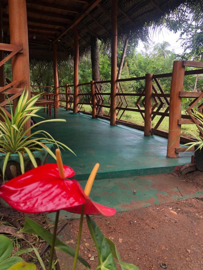 Sigiri Lion Eco Palace Sigirija Zewnętrze zdjęcie