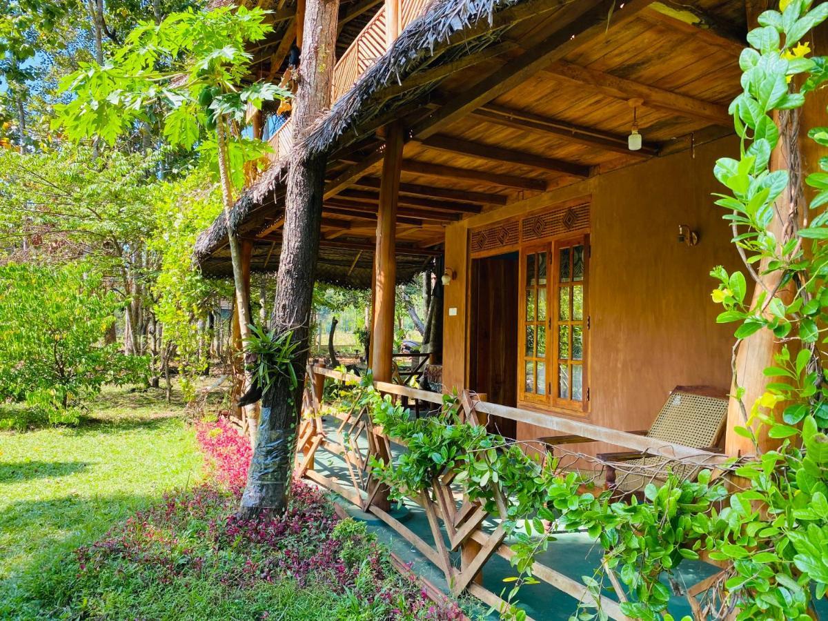 Sigiri Lion Eco Palace Sigirija Zewnętrze zdjęcie