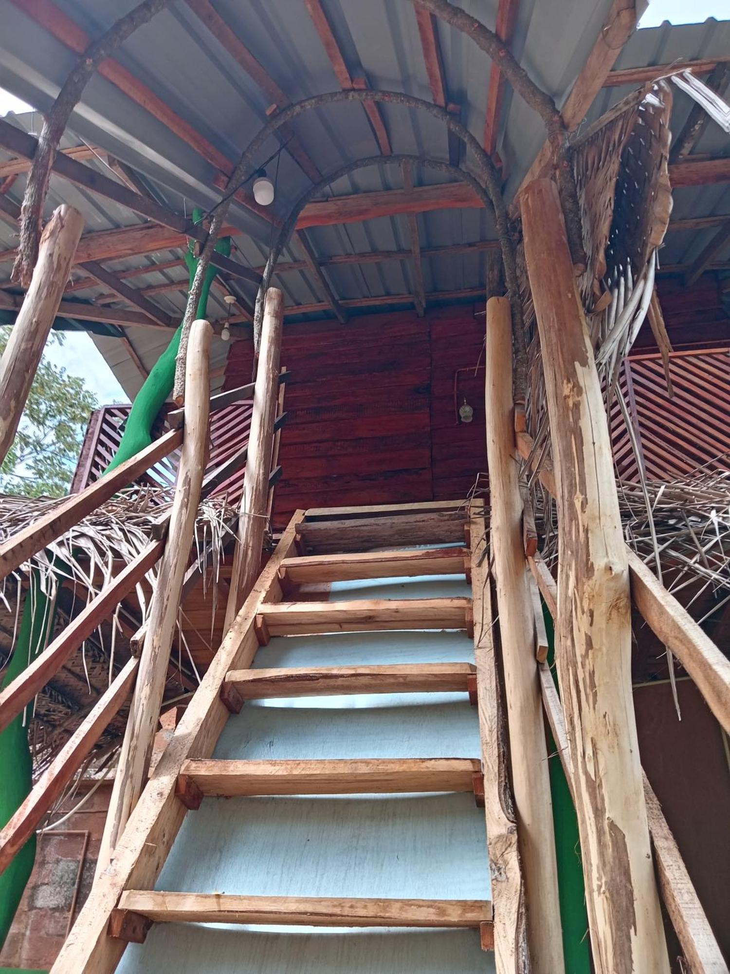 Sigiri Lion Eco Palace Sigirija Zewnętrze zdjęcie